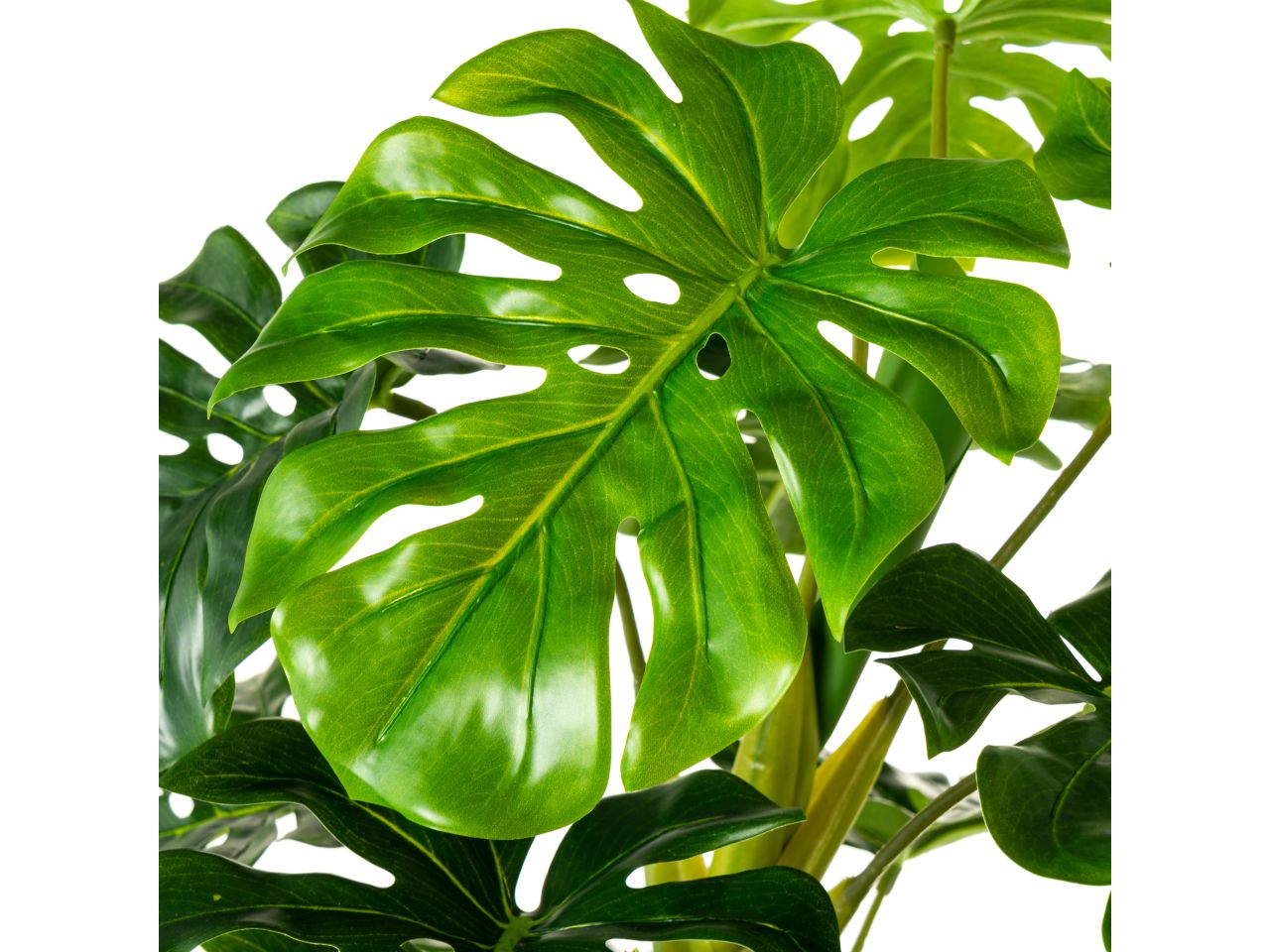Pianta monstera in plastica misura 45x45x100cm