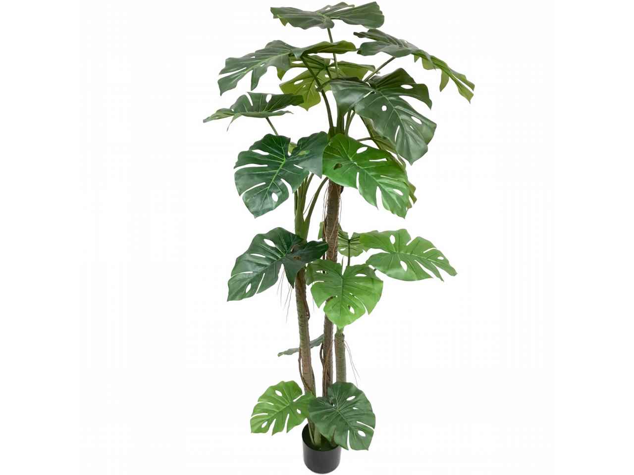 Pianta split philo 1,7mt 7122-09