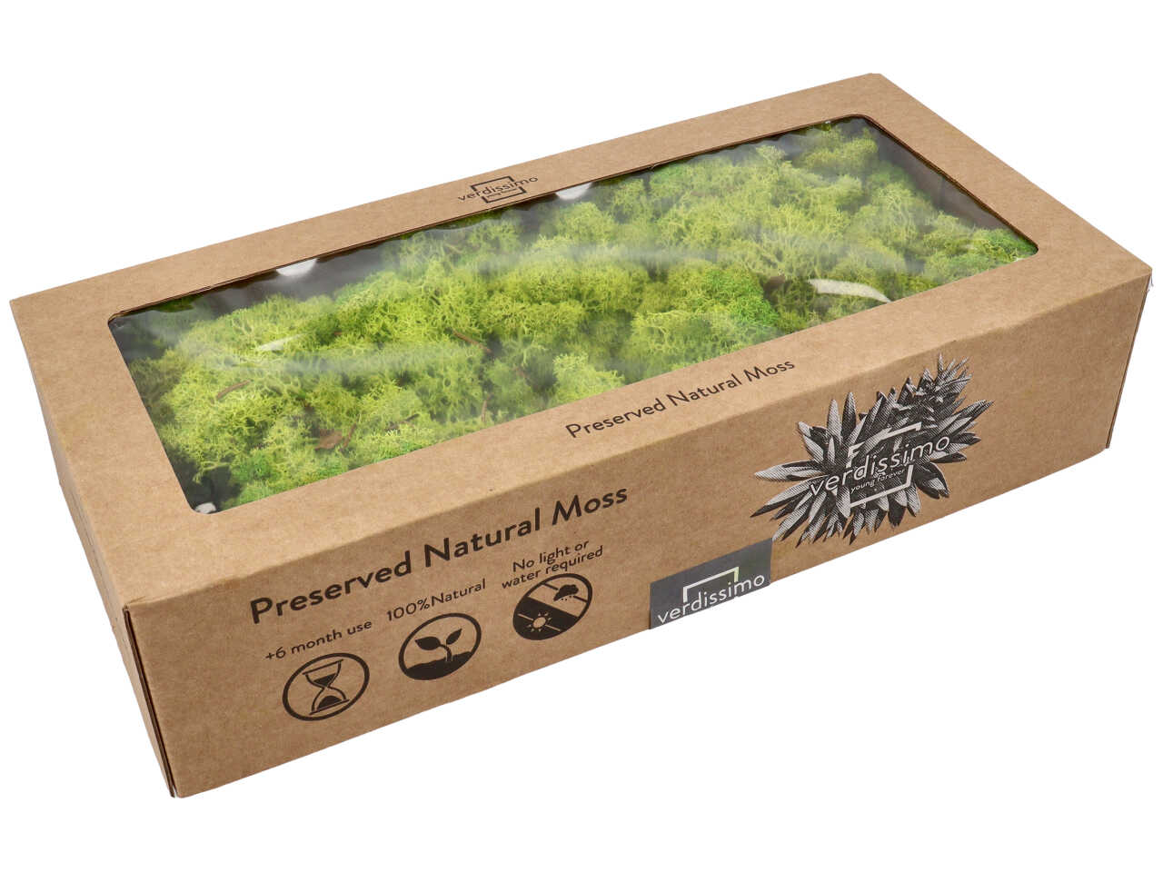 Muschio islandese stabilizzato colore verde lime da 500gr