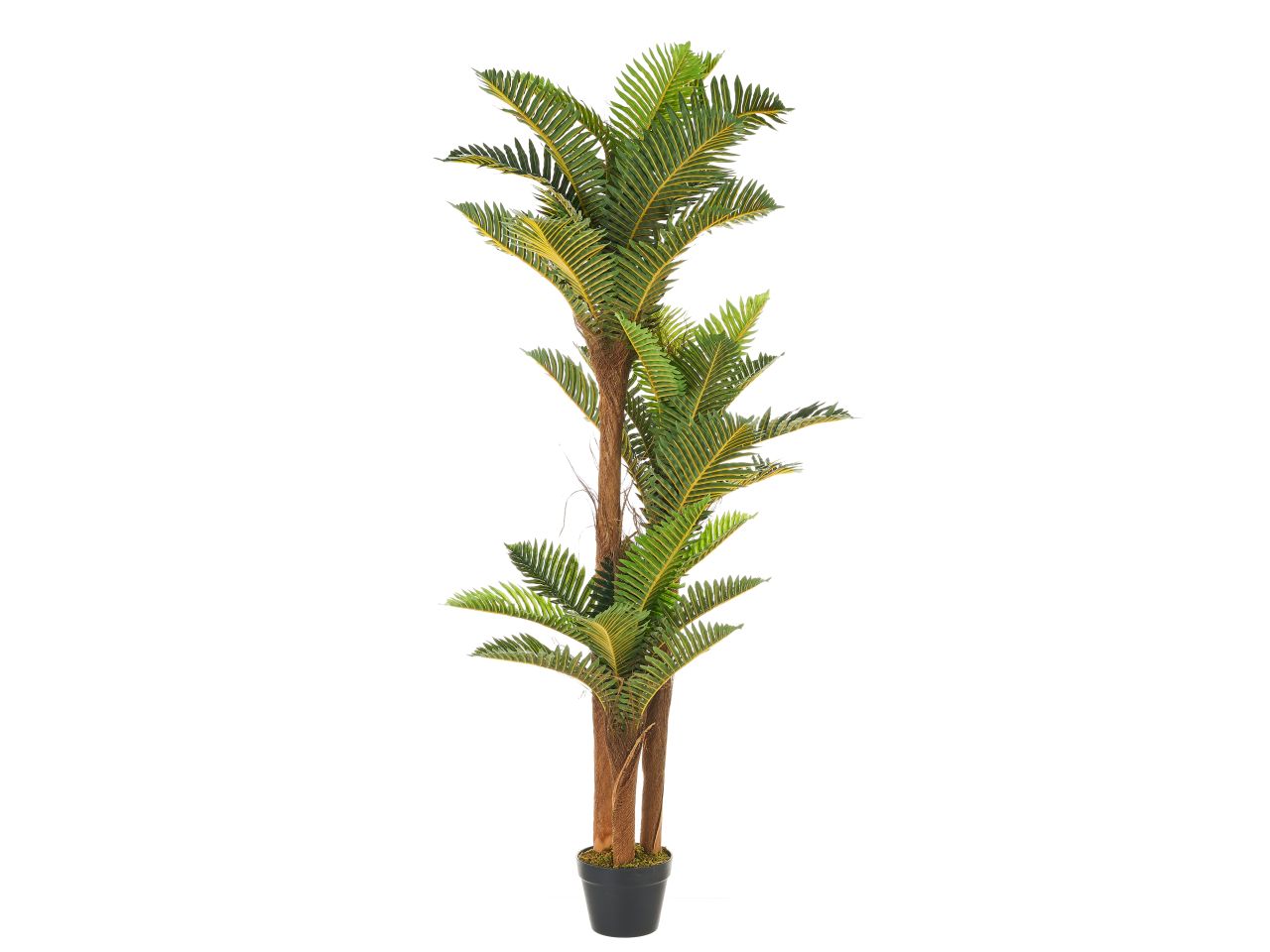 Pianta di palma in plastica misura 40x40x150cm