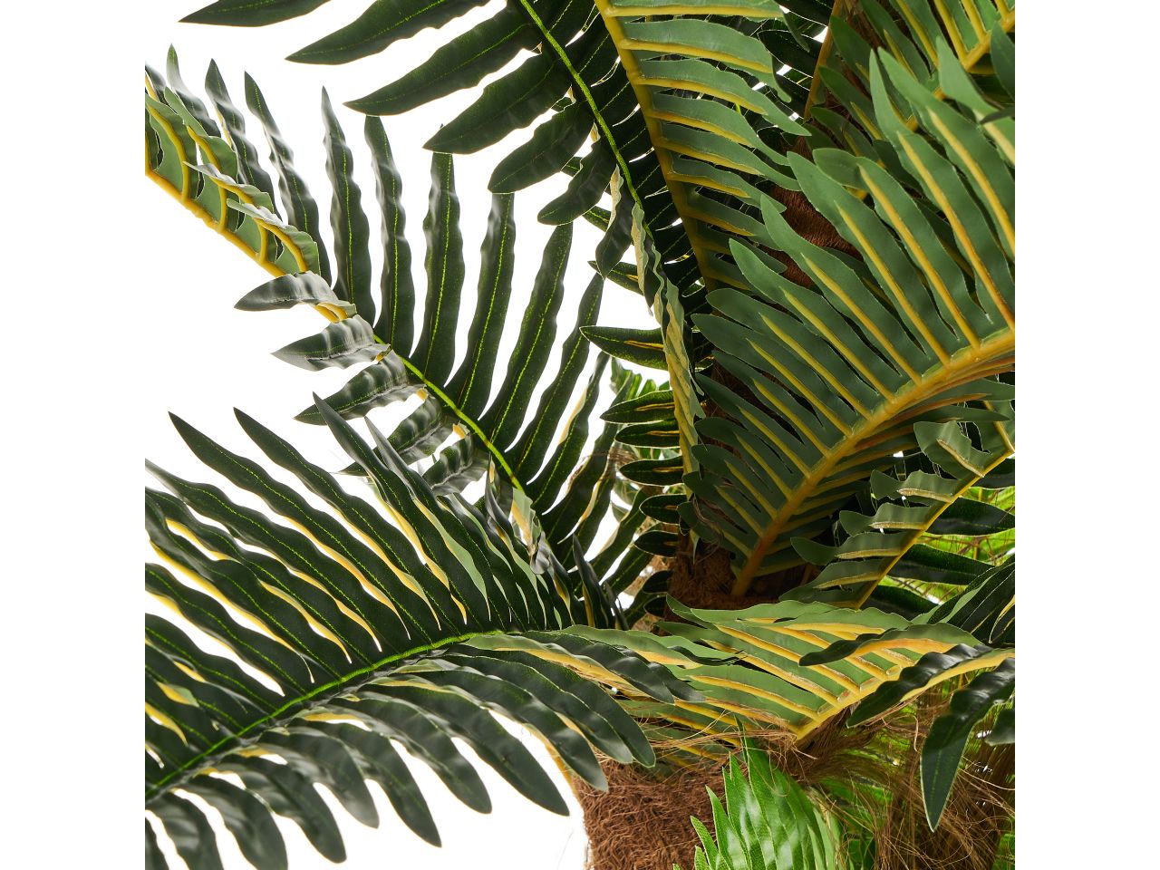 Pianta di palma in plastica misura 40x40x150cm