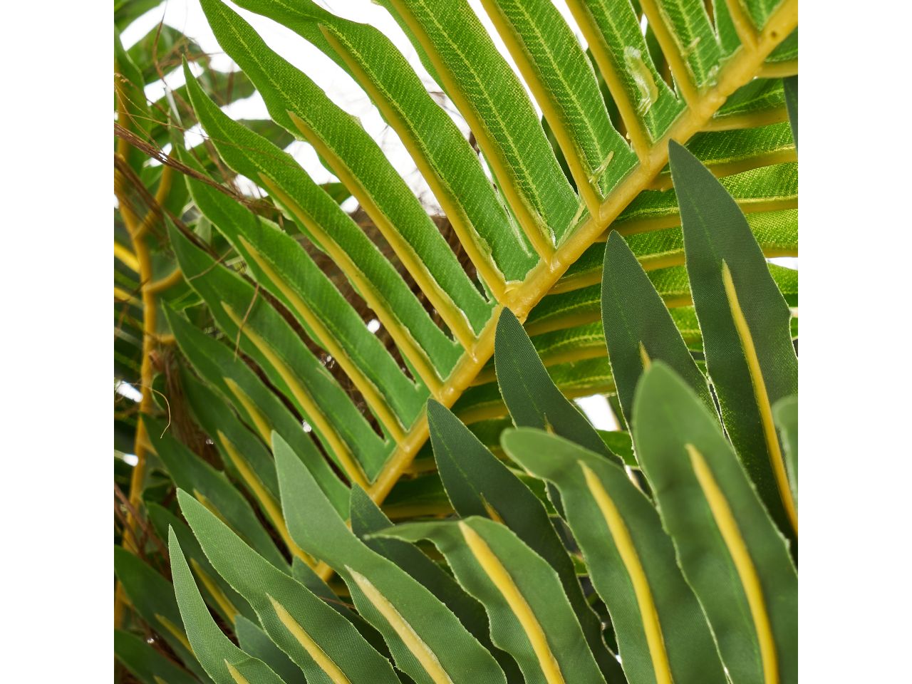 Pianta di palma in plastica misura 40x40x150cm