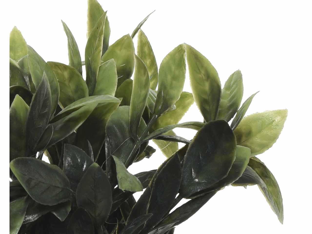 Pianta h.13cm con vaso 804833