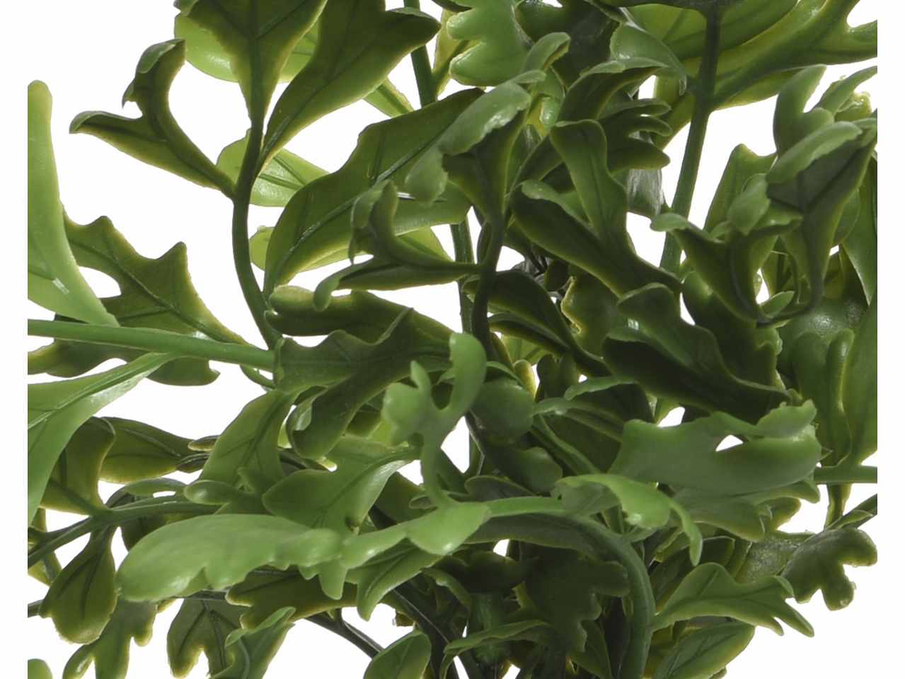 Pianta felce h.25cm verde in 3 assortimenti