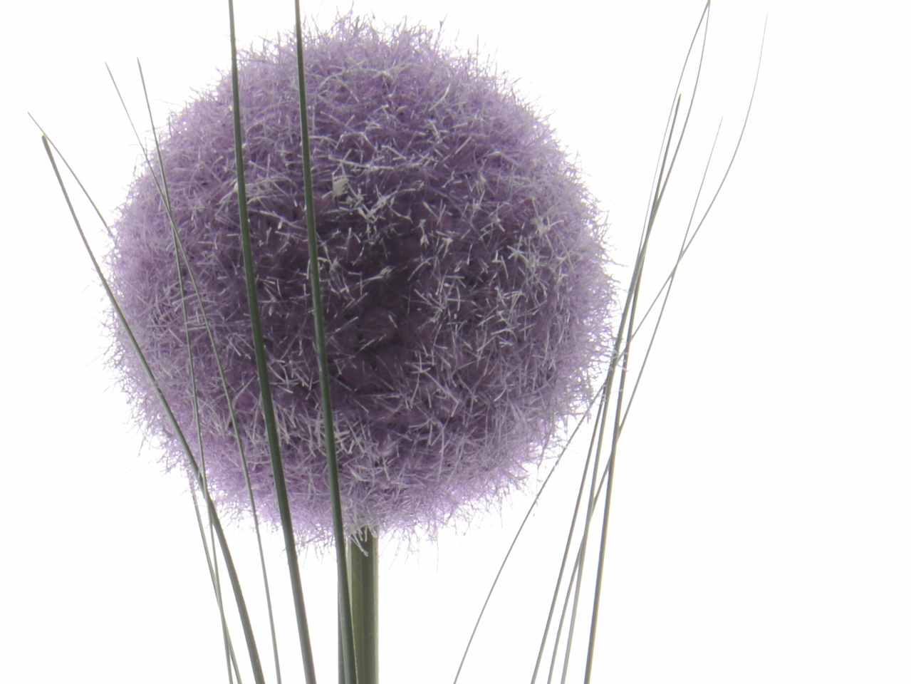 Fiore aglio d.10xh.66cm 800298