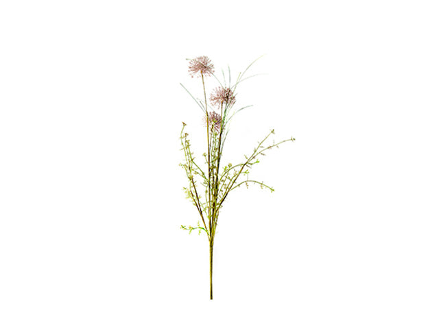 Mazzo fiori secchi 66cm 355898