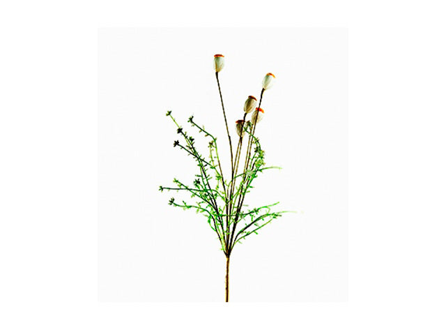 Mazzo fiori secchi 66cm 355902