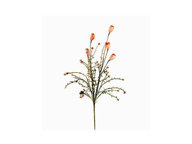 Mazzo fiori secchi 66cm 355903