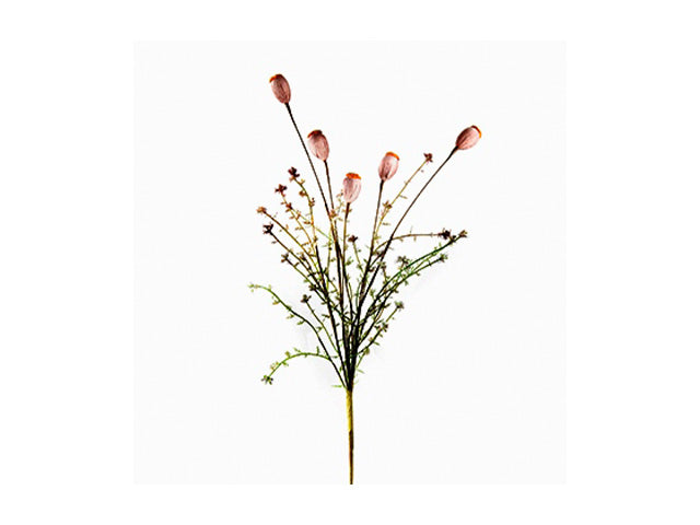 Mazzo fiori secchi 66cm 355904