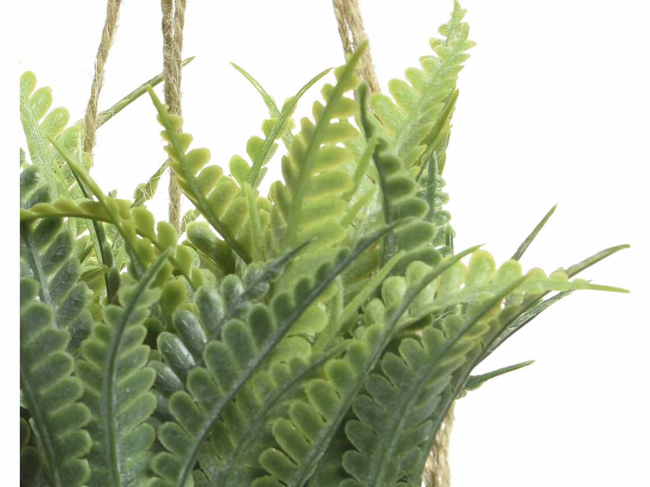 Pianta verde h.12cm in vaso di juta con gancio 3 assortimenti