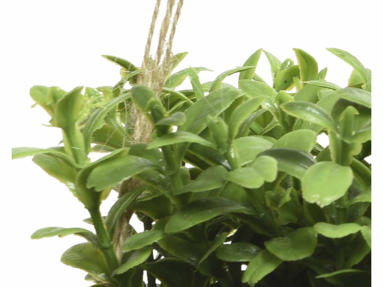 Pianta verde h.12cm in vaso di juta con gancio 3 assortimenti