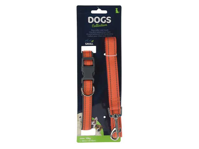 Collare+guinzaglio cane 491003200