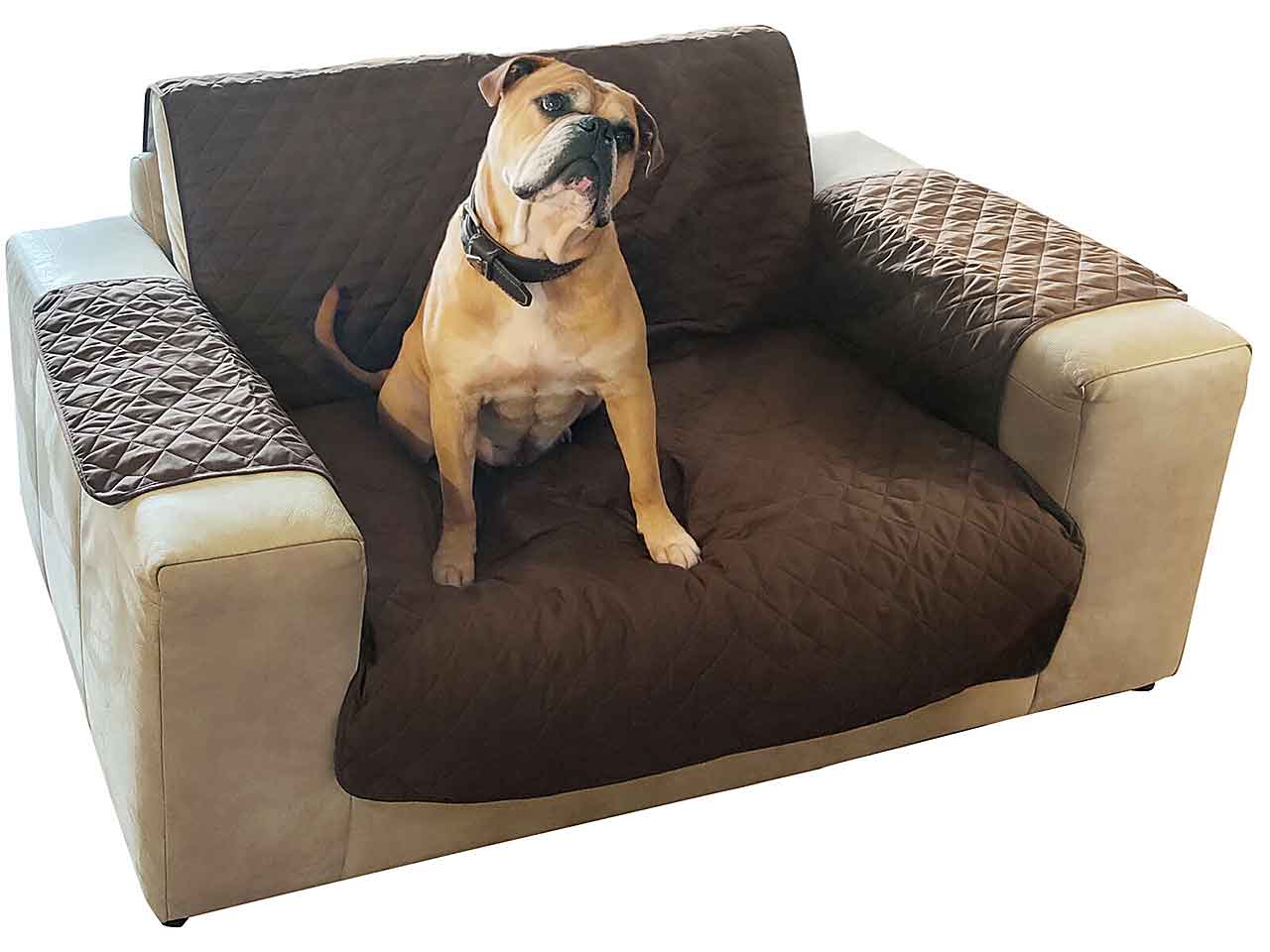 Copridivano animali 226x188cm 491003850