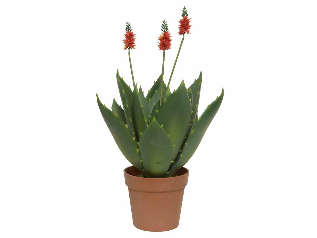 Agave h.60cm con vaso 801202