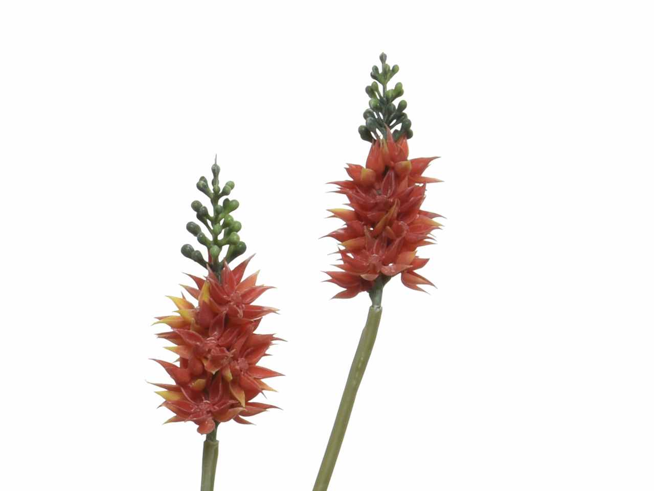 Agave h.60cm con vaso 801202