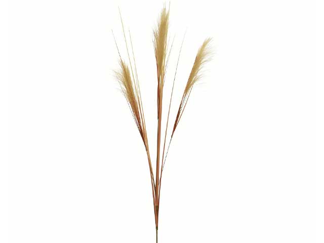 Pampas su stelo in poliestere 2xh.115cm colore sabbia