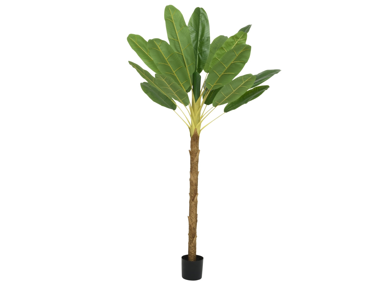 Pianta finta alta banano da interno 230cm realistica in vaso di plastica, stile Jungle - Kaemingk