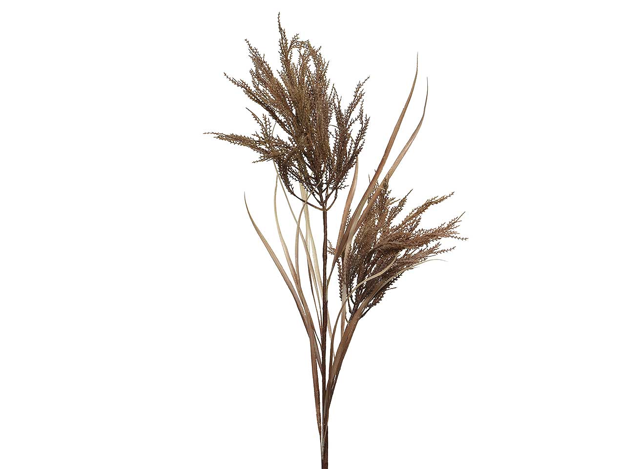 Ramo erba 119cm marrone 704812