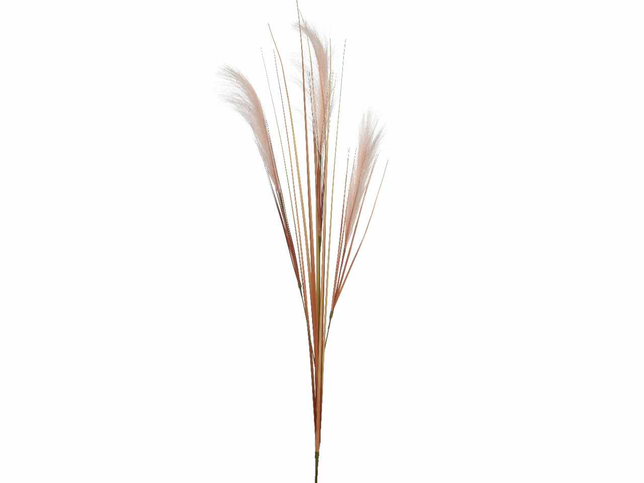 Pampas su stelo in poliestere colore rosa 6xh.110cm
