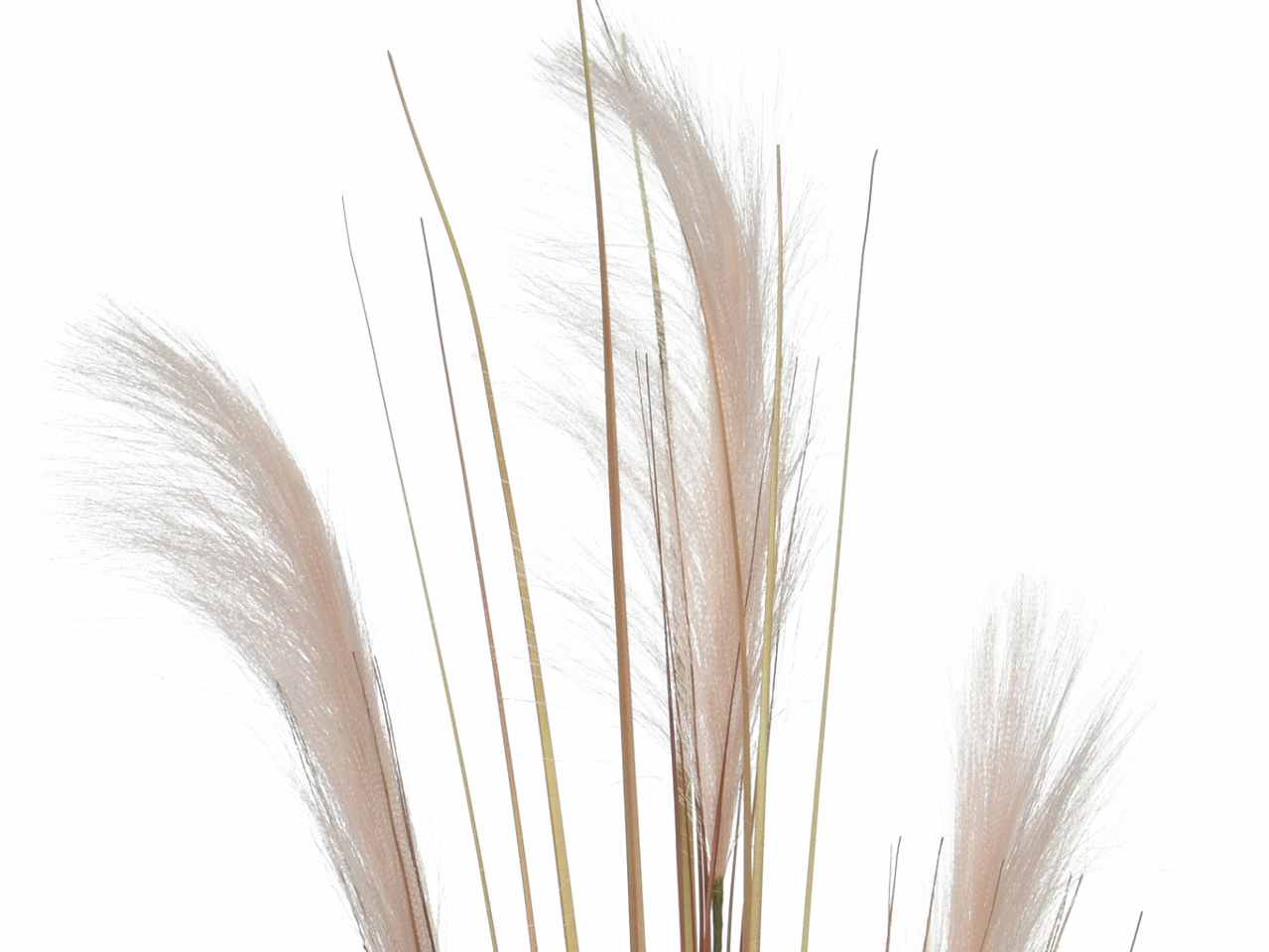 Pampas su stelo in poliestere colore rosa 6xh.110cm