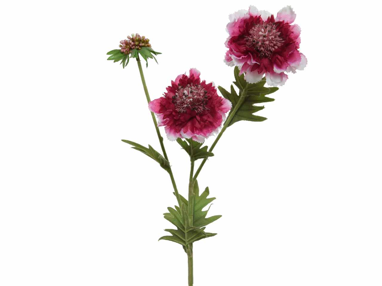 Fiore scabiosa h.72cm fucsia 804064