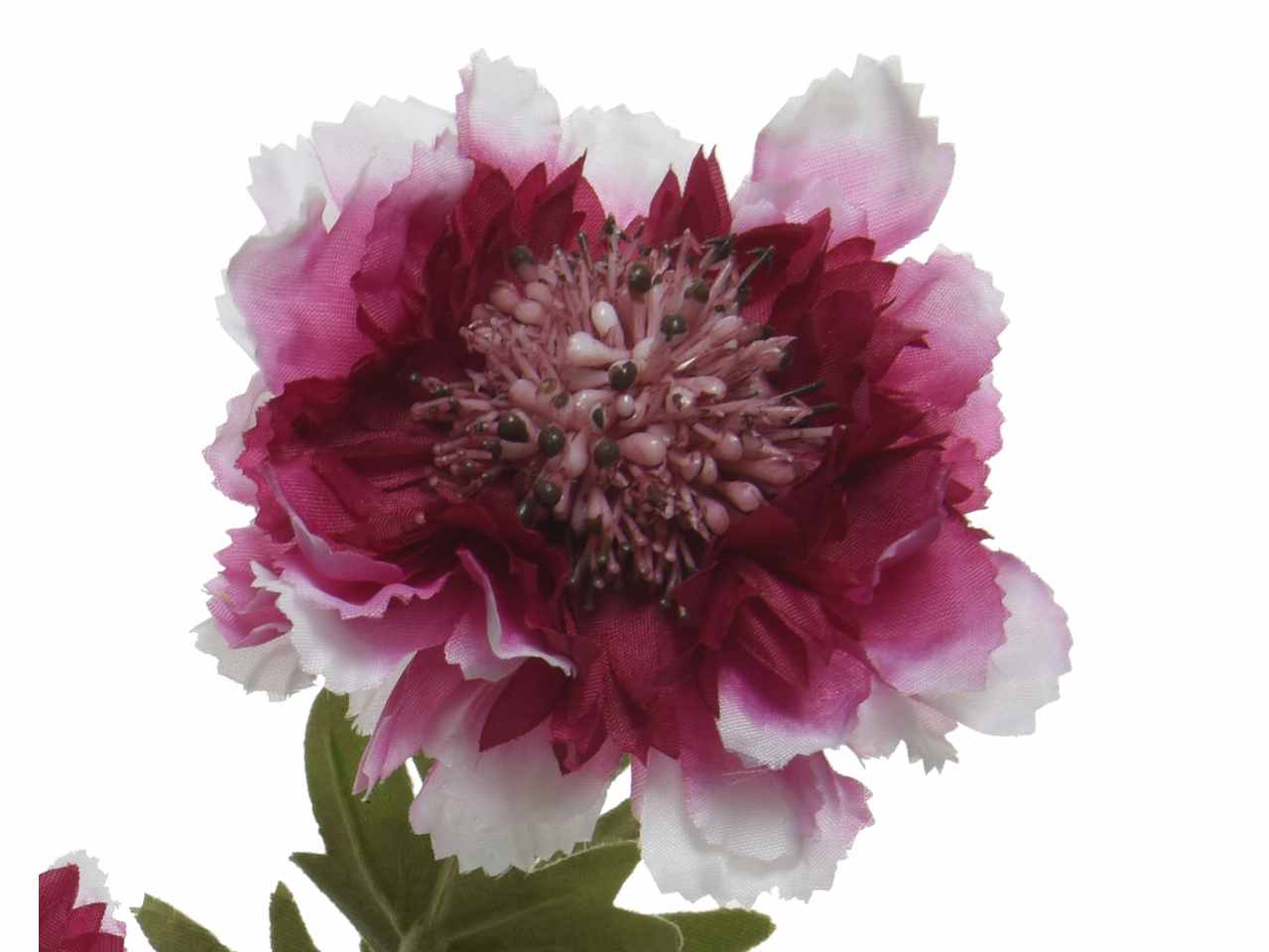 Fiore scabiosa h.72cm fucsia 804064