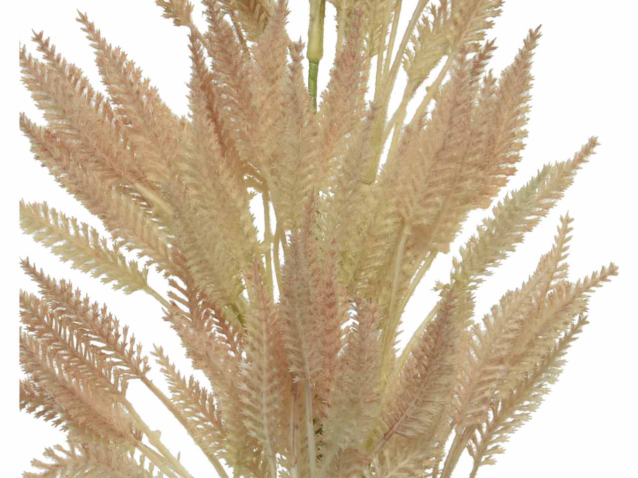 Grano spruzzata champagne h.95cm 804282