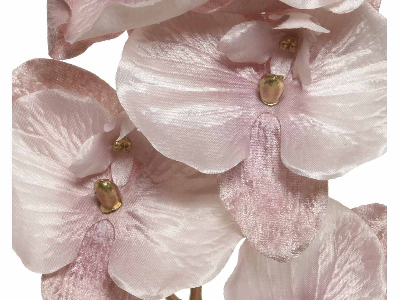 Orchidea 15x6x71cm rossa cipria