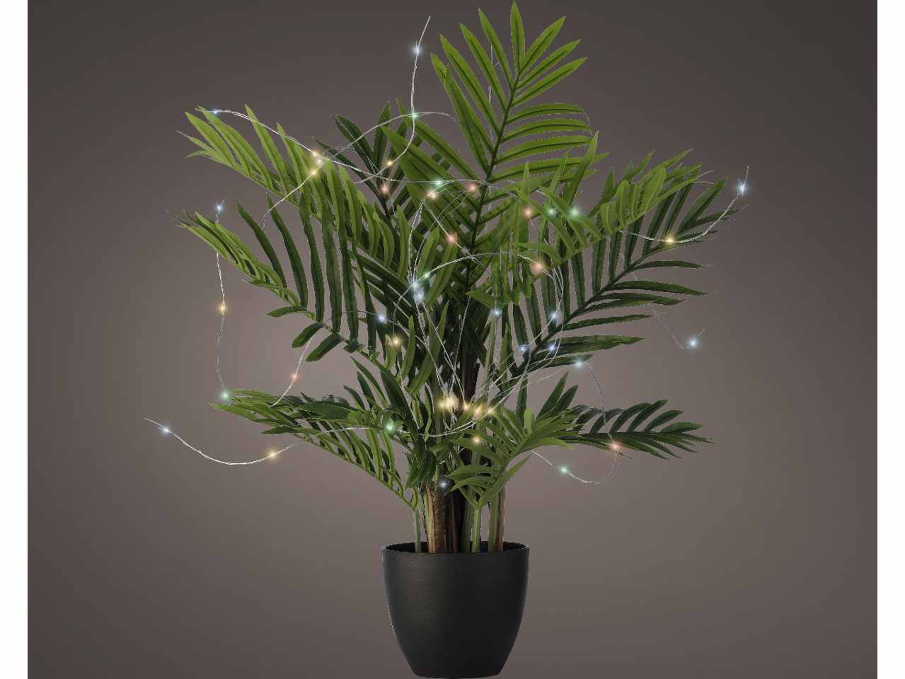 Catena luci 60 micro led 80cm multicolor con funzionamento a batteria uso esterno $