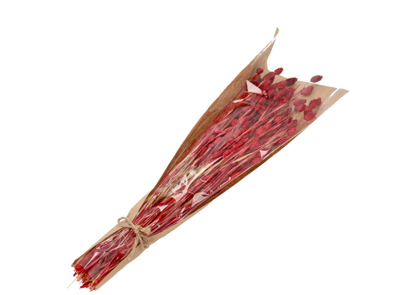Bouquet fiori secchi rosso