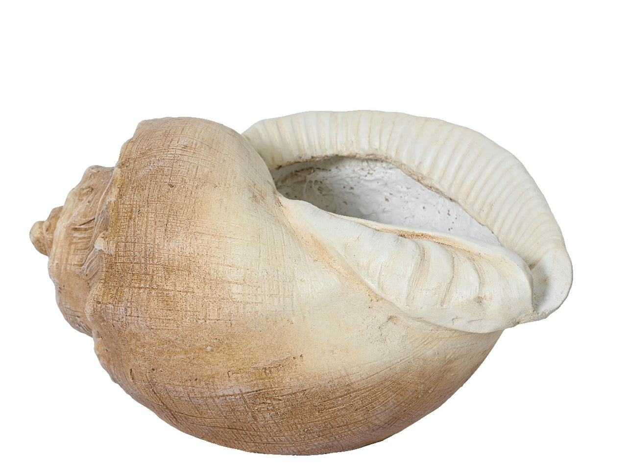 Conchiglia portapianta 33x48cm x altezza 24cm