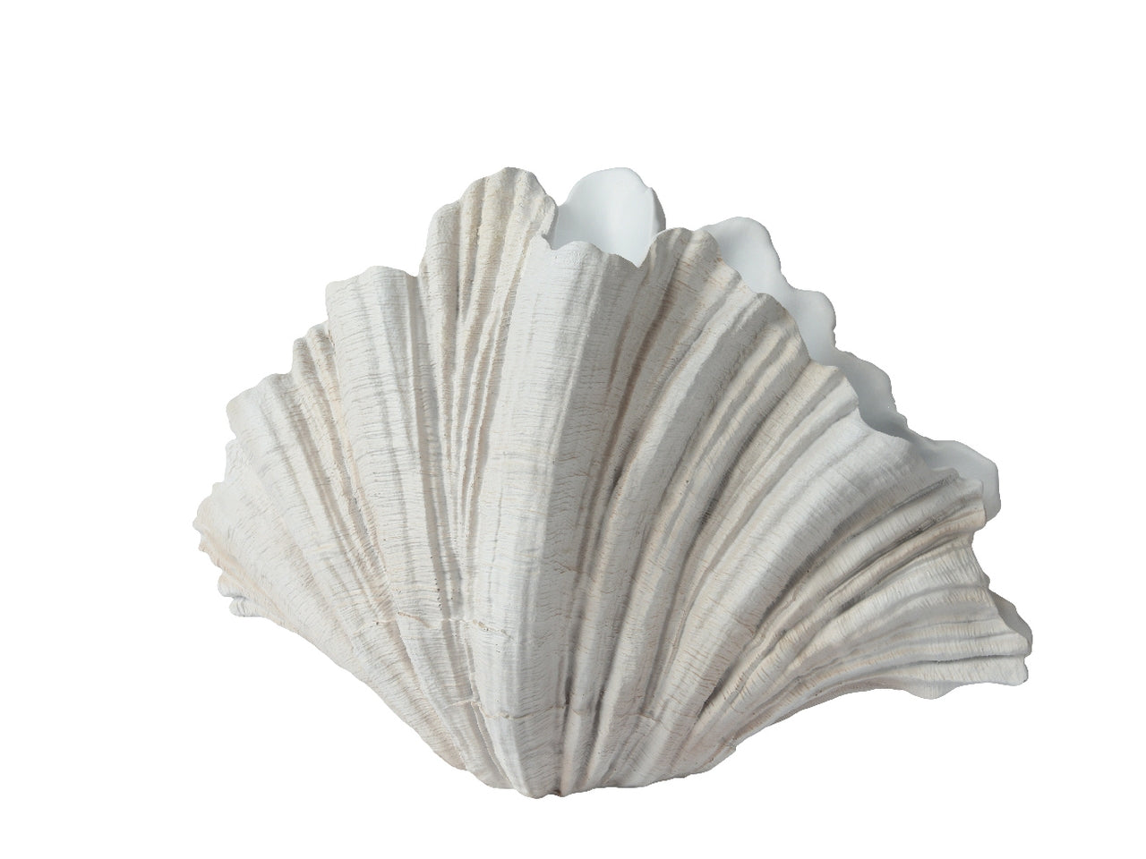 Conchiglia portapianta 31x57cm x altezza 36cm in poliresina colore bianco