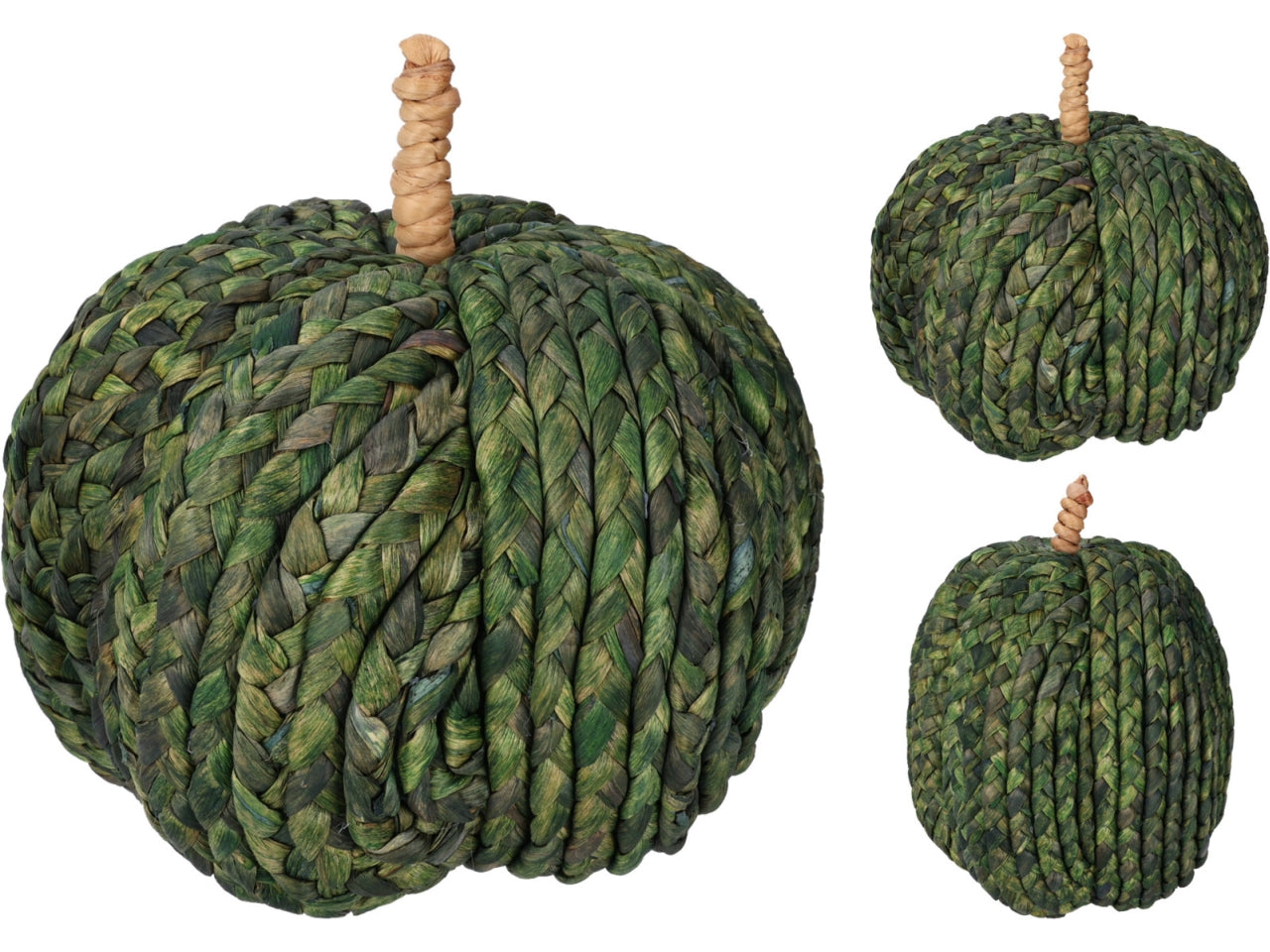 Zucca verde 20cm in 2 assortimenti