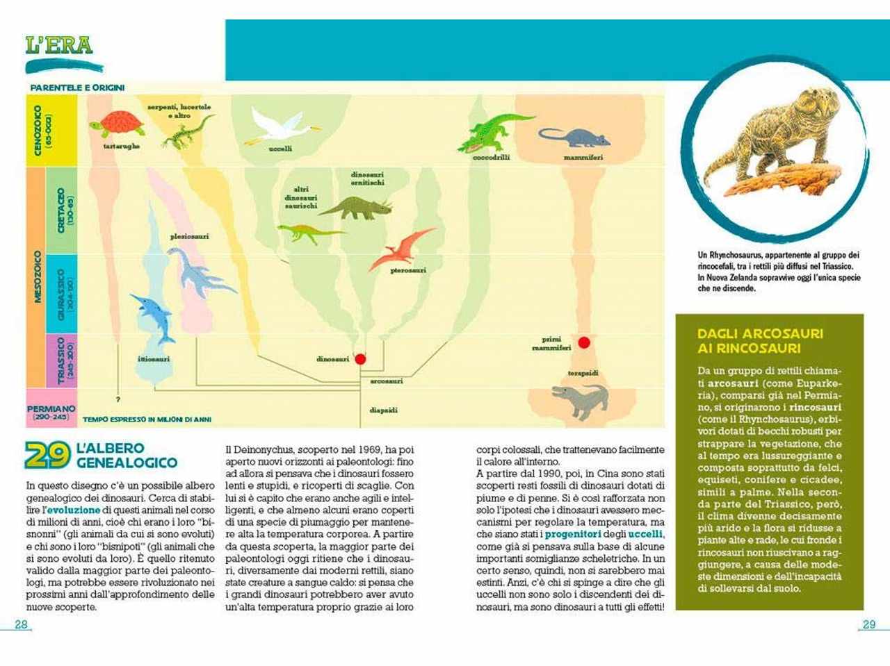 Libro dinosauri