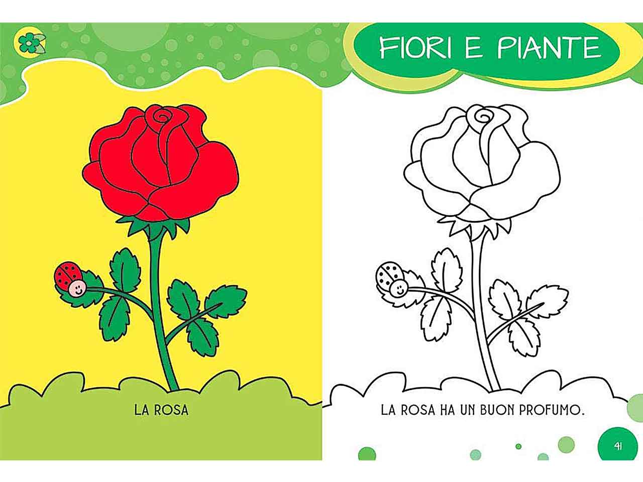 Libro giunti editore coloring voglia di colorare! maxialbi zerosei