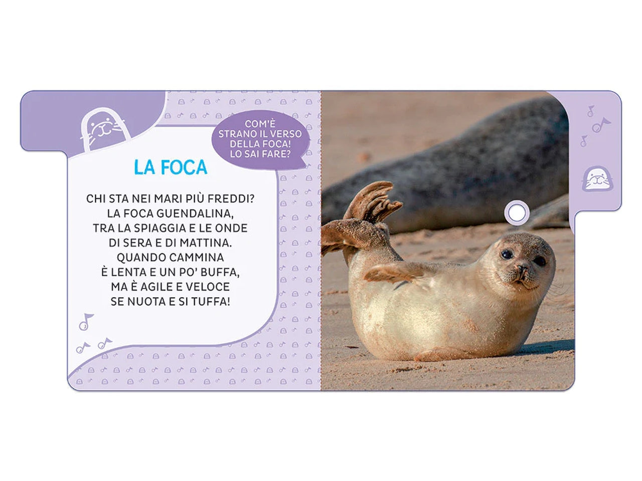 Libro giunti editore sonori animali del mondo - primi suoni