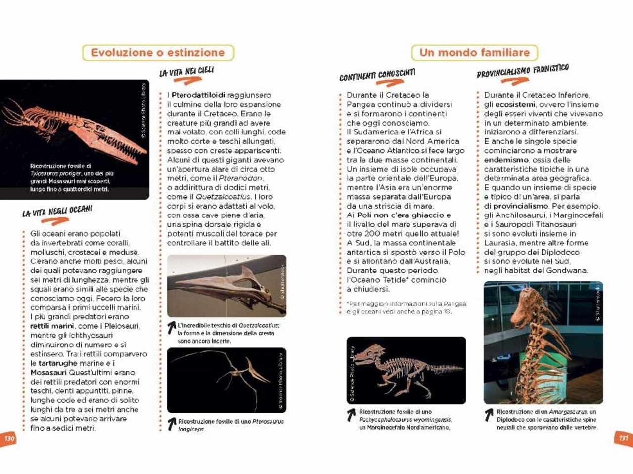 Libro nel mondo dei dinosauri scienza a fumett