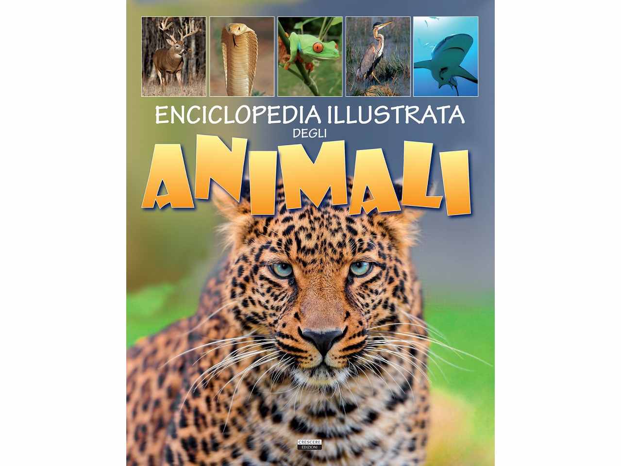 Libro ragazzi-enciclopedia illustrata