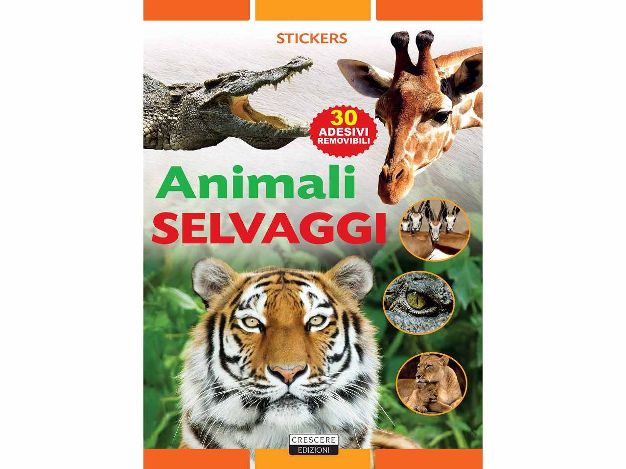 Libro con stickers
