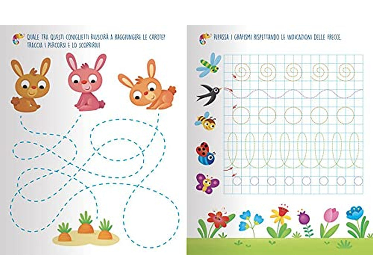 Libro dami editore gioca impara gli animali