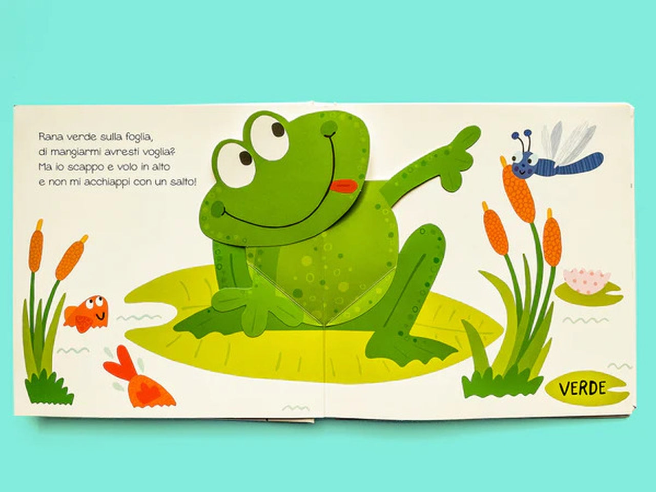 Libro colori
