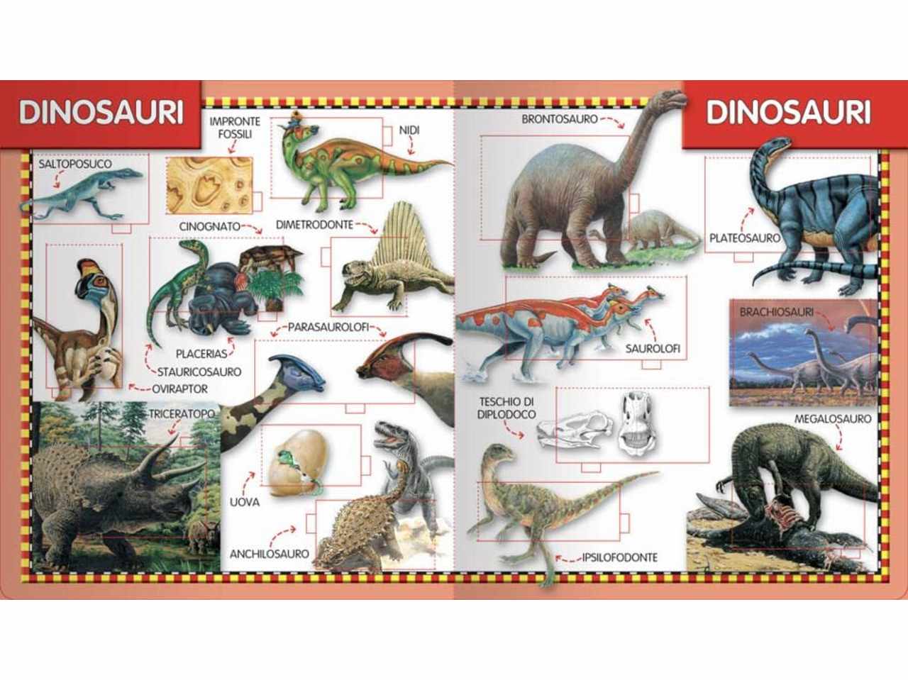 Libro dinosauri