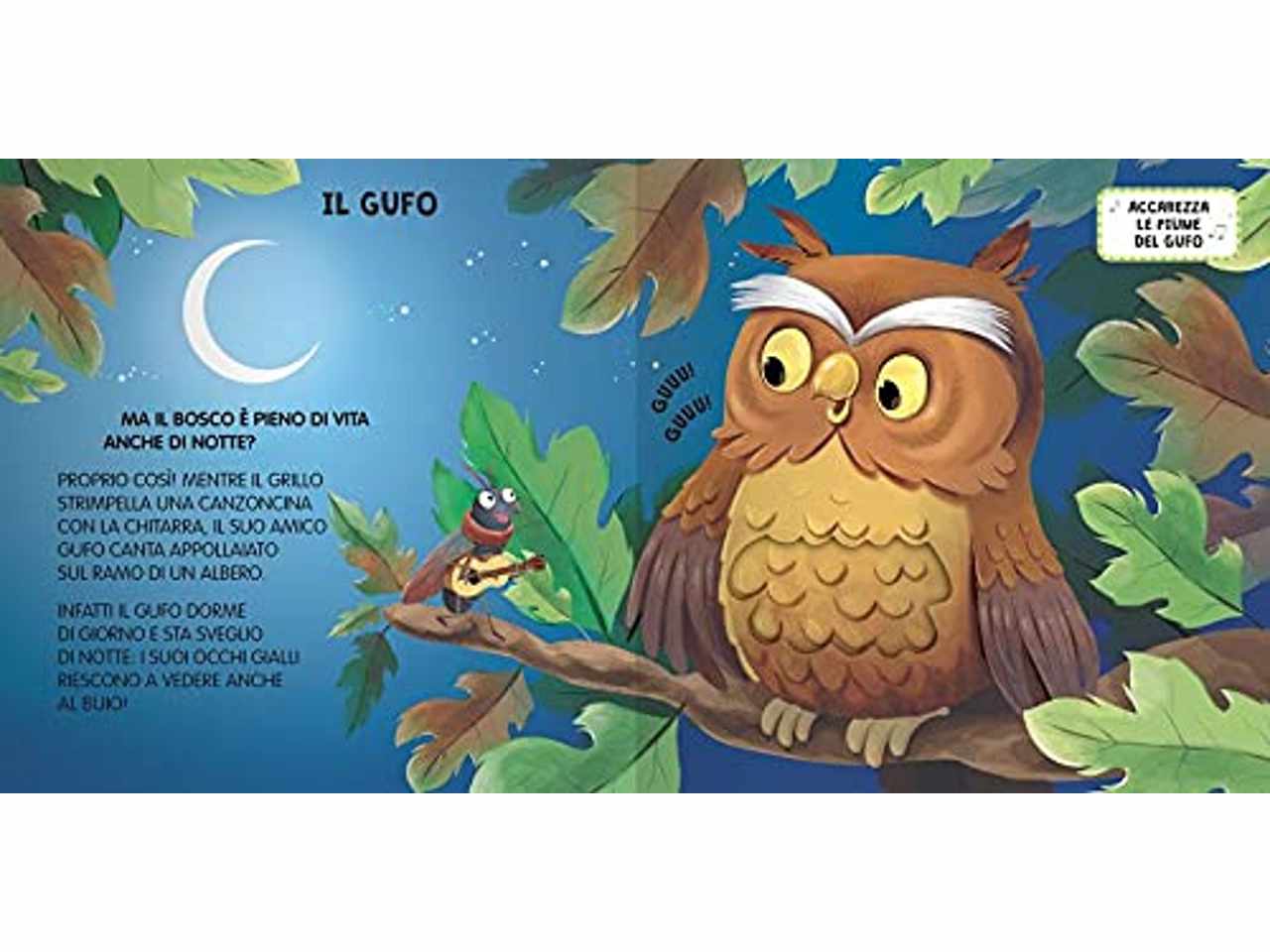 Libro bosco