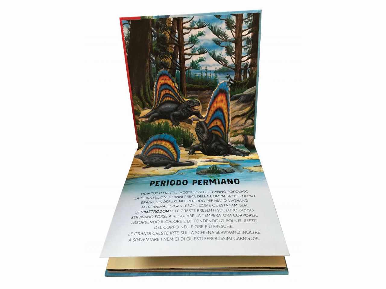 Libro dinosauri
