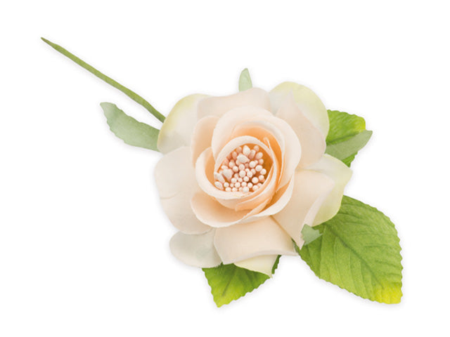 Camelia cipria c/foglie fb4861-27