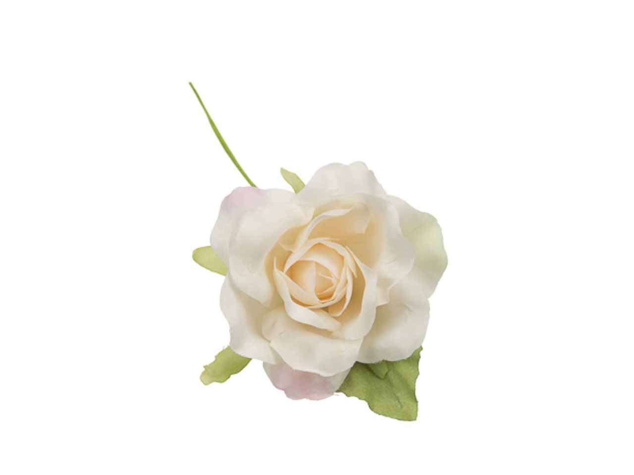 Rosa media cipria 10pz.fb1792-27