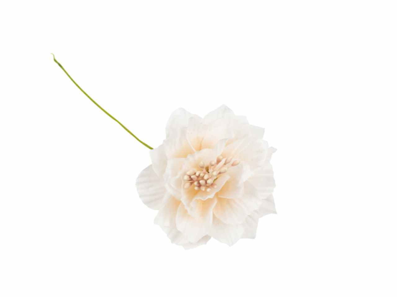 Fiore ldi dalia con pistilli colore cipria 36 pezzi