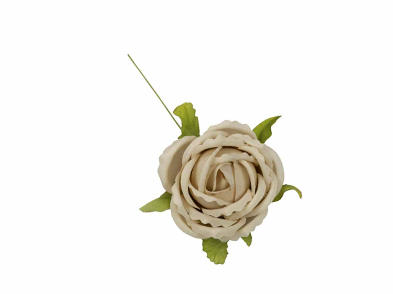 Rosa colore beige 6 pezzi