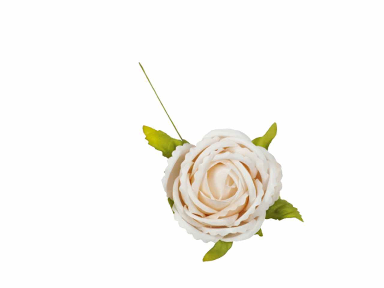 Rosa colore cipria 6 pezzi