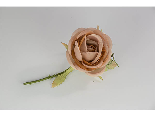 Rosa tafta' brown fb4022/18